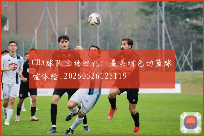 CBA球队主场巡礼:最具特色的篮球馆体验_20260526125119