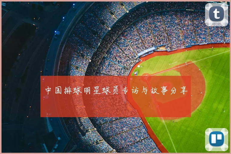 中国排球明星球员专访与故事分享