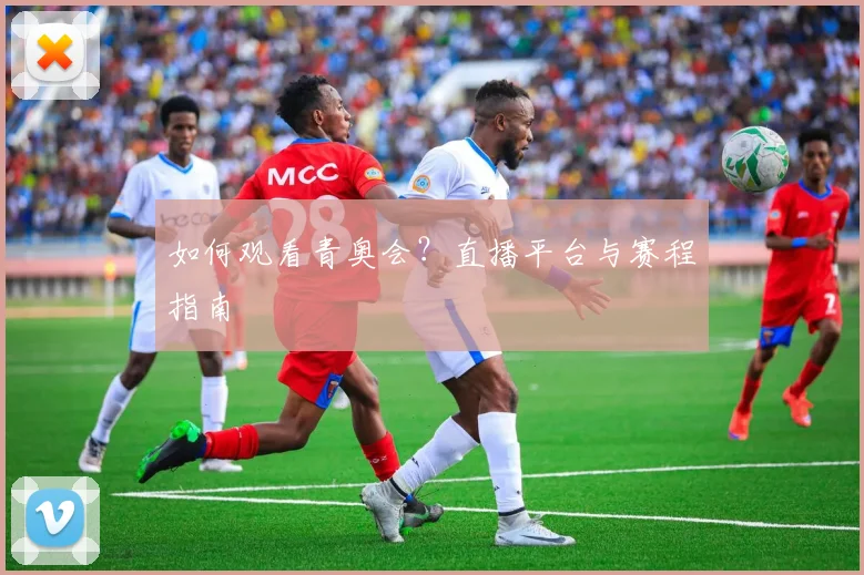 如何观看青奥会?直播平台与赛程指南