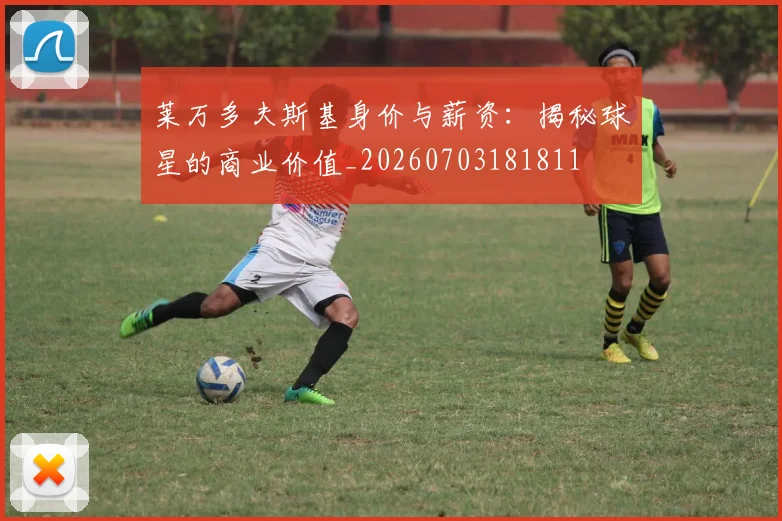 莱万多夫斯基身价与薪资:揭秘球星的商业价值_20260703181811