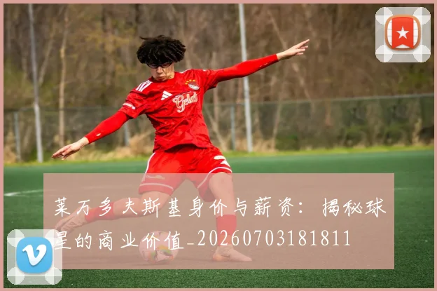 莱万多夫斯基身价与薪资:揭秘球星的商业价值_20260703181811