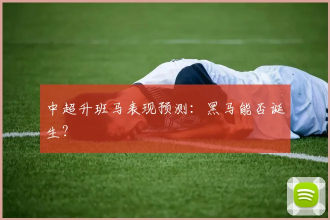 中超升班马表现预测：黑马能否诞生？